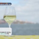 디오씨코리아 이미지