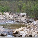 진주목장 이미지