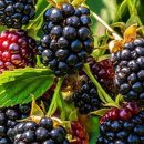 남해-175 이미지