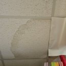 동주대학교부속유치원 이미지