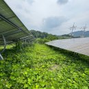 뿌리 태양광발전소 이미지