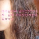 더블리치 Daum카페
