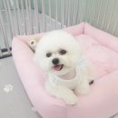 어서왈왈 이미지