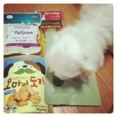 천양농장 | [펫박람회] K PET FAIR 다녀왔어요