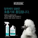 야옹아 멍멍해봐(수원 구운점) 이미지