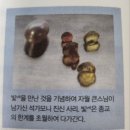정정근 | 명상책 추천, 초보자에게 딱 맞는 "행복순환의법칙"