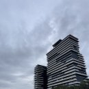 세부 더 리프 리조트 막탄 후기 (태교여행 내돈내산)