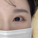포항 양덕동 속눈썹 연장 추천 무모먼트