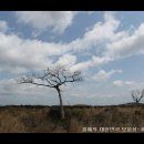 제주하늘바람 이미지