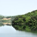 고삼지둥굴레좌대