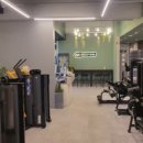 몰리짐 문덕 이미지