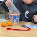 영천시장애인종합복지관 | 대구 경북 영천시장애인종합복지관 초등 특수교육 대상 학생 겨울 계절학교 원예수업 더피고사리 화분