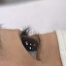 시크릿 | 구로/ 개봉동 속눈썹펌 맛집 ✨<시크릿터치> 후기