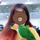 버드아뜰리에 이미지
