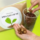 도토리편의점