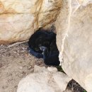 청파농장 이미지