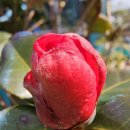 더케어팜 이미지