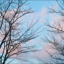 장애인복지회관후문 이미지