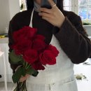 퀘렌시아 | 망원꽃집 퀘렌시아 플라워 빨간장미부케 웨딩촬영 내돈내산 성공 후기