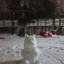 더편한한의원 이미지