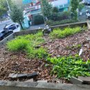 대성칼라 이미지