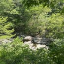 GR(구례군)-[지리산온천로]-상-8 | [구례 뚜벅이여행] 화엄사 근처 “카페시옷" 브런치와 지리산온천여행 기록