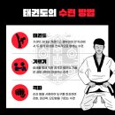효자태권도 이미지
