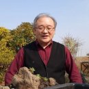 당진야생화