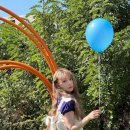 사쿠라(SAKURA) 이미지