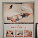 바이오포톤 ~~ 이미지