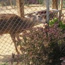 인천대공원(어린이동물원) 이미지