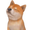 산청동물병원 이미지