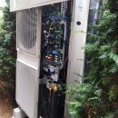 강남동물병원 이미지