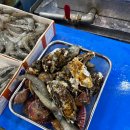 갯마을낙지아구 | 가락시장 놀부수산 킹크랩 포장, 위례 갯마을해물탕 해물찜 맛집