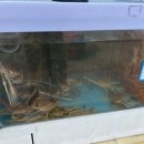 김서방 대게민박 이미지