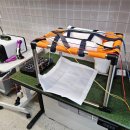 와우동물메디컬센터 이미지