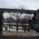 사랑의연리근 이미지