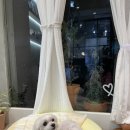 옹심이네살롱 이미지