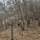 올림픽 아리바우길 1코스 *나전역~정선아리랑 시장* (24.03.17) 역방향 진행 이미지