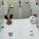 돌봐줄개 이미지