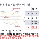 김재경임대 | 비육우 비타민A 조절해야 하는 이유