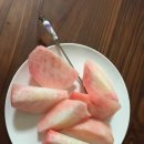 영덕싱싱농원 네이버블로그