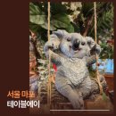 (주)에이앤디영 | 테이블에이 홍대고양이카페, 우리 아이 단골 힐링스팟