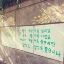 왠지보면 기분이좋아지는 글귀 이미지