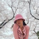 핑크팝콘 OSEN