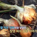 창영농장 이미지