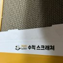 멍냥이노리터 이미지