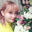 170211 티스토리