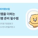 연원마을약국 | 2월 오사카 여행 경비 총정리/2인이서 갔지만 1인비용 정리