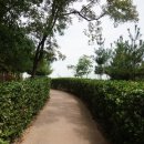 이찰이율형제 정려 이미지